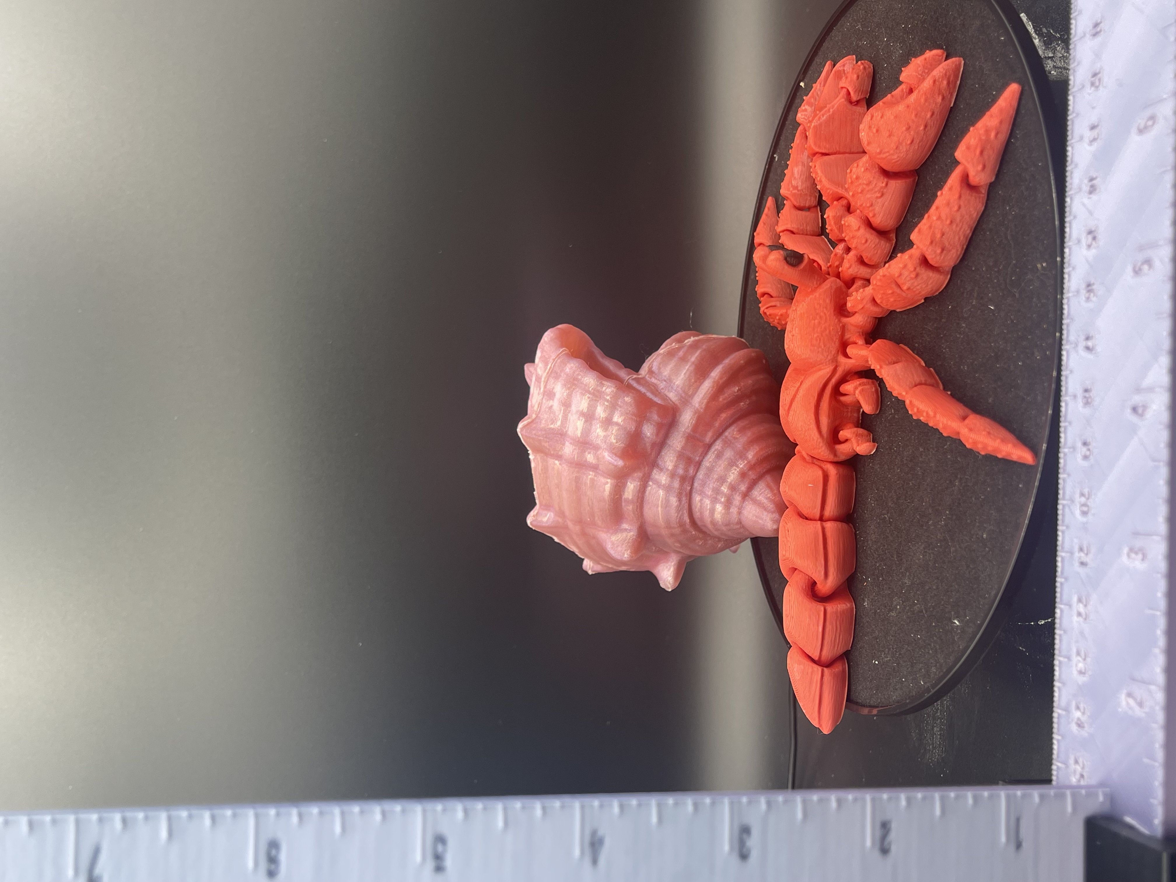 HERMIT CRAB WITH ARTICULATING PARTS!