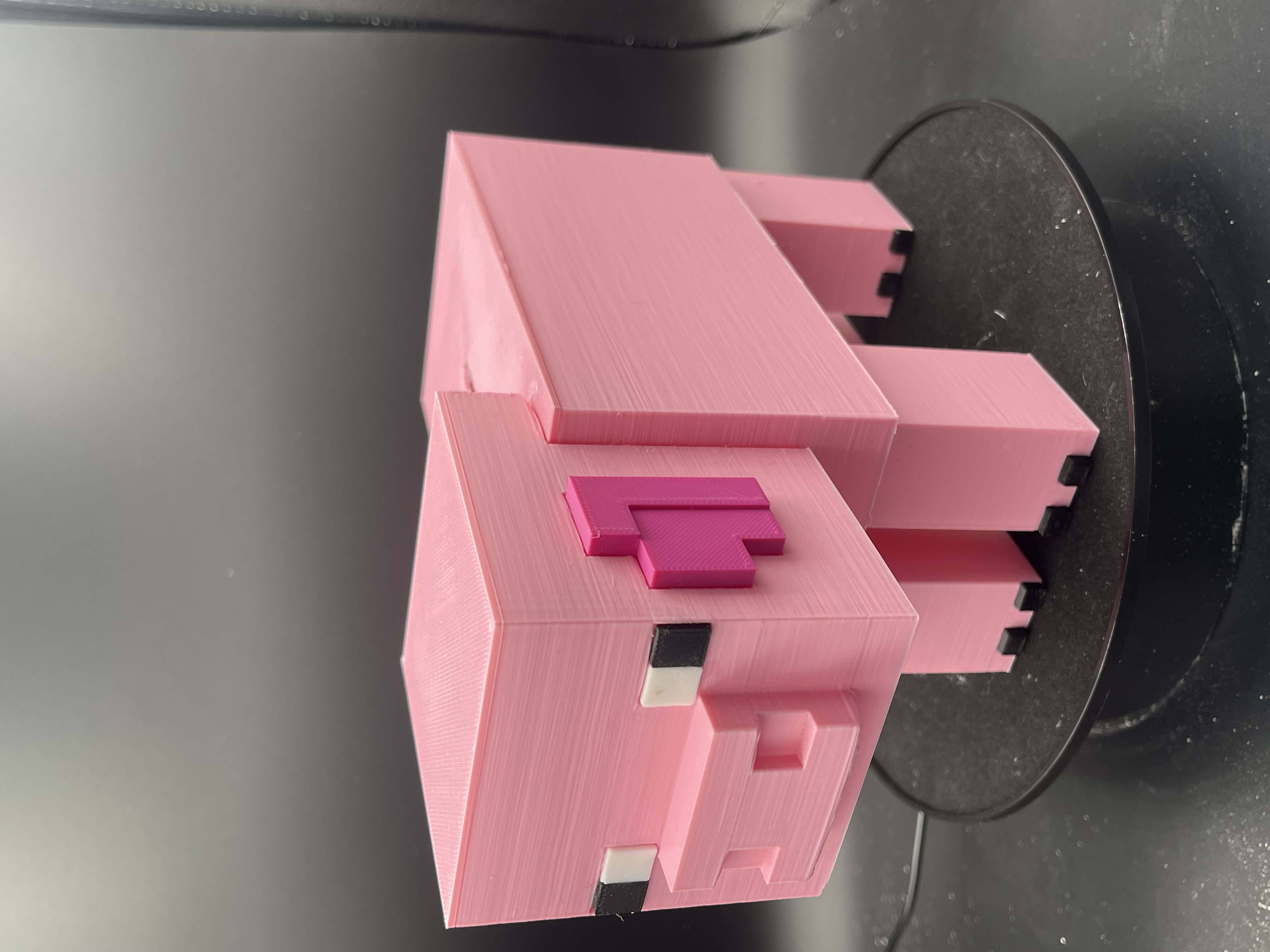 MINECRAFT PIGGY BANK!