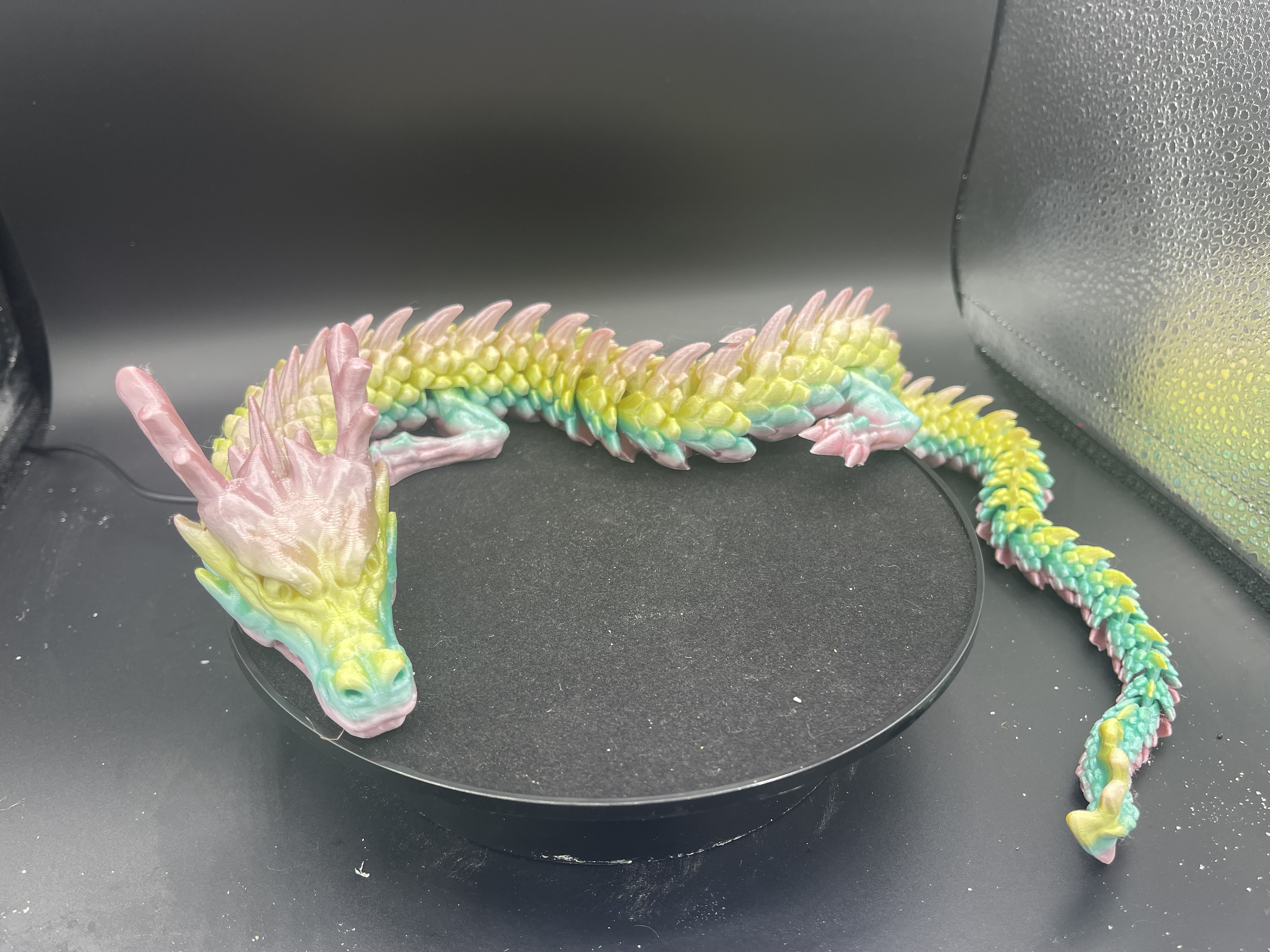 RAINBOW ARTICULATED DRAGON!