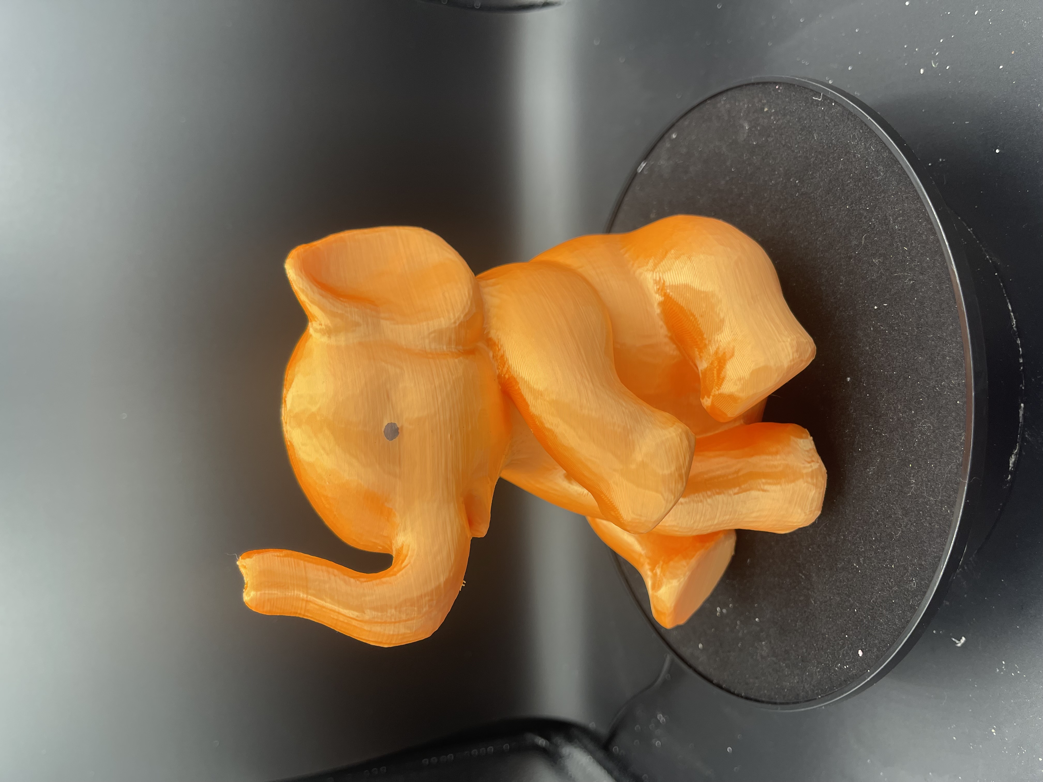 ELEPHANT 3D PIGGY BANK! (ORANGE)