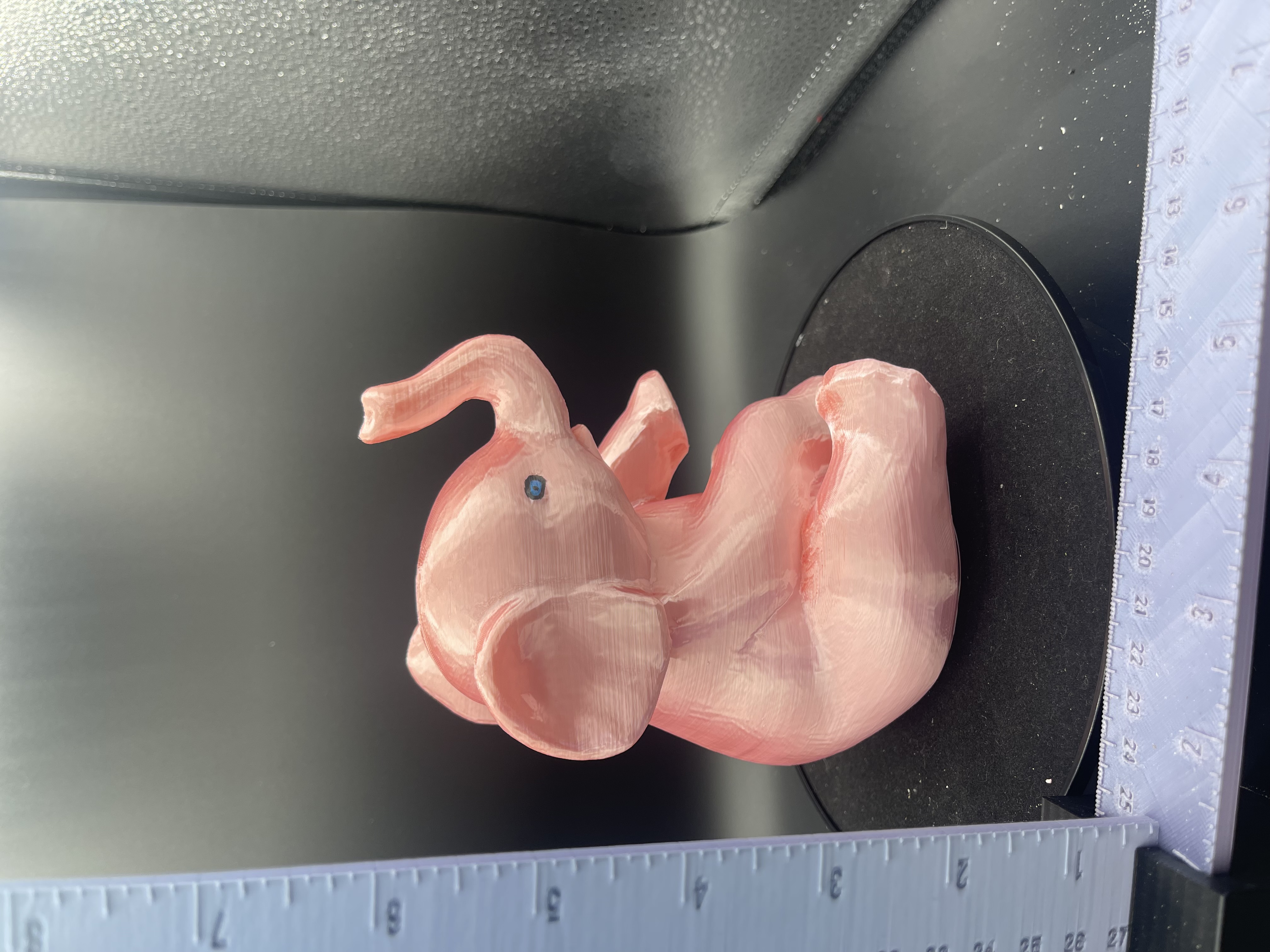 ELEPHANT 3D PIGGY BANK! (PINK)