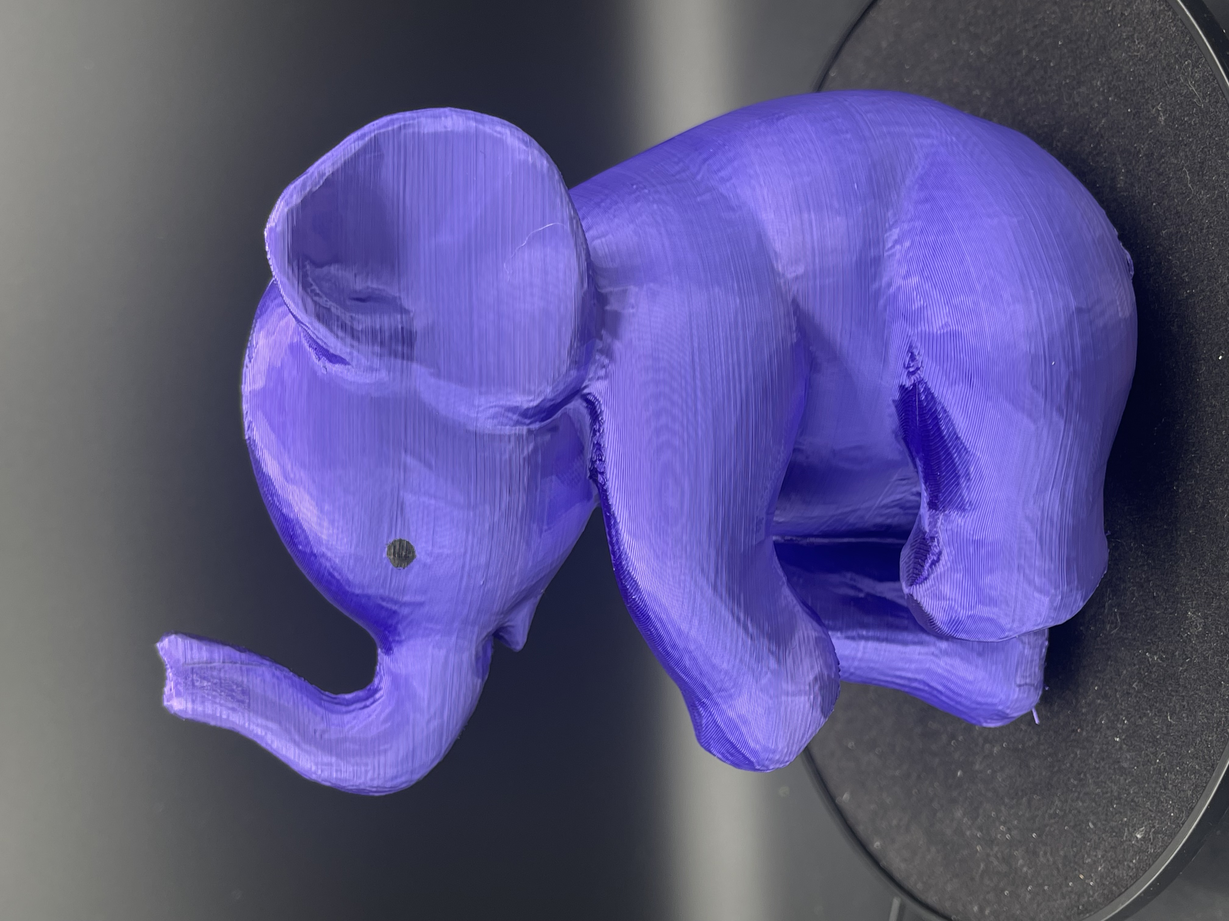 ELEPHANT 3D PIGGY BANK! (PURPLE)