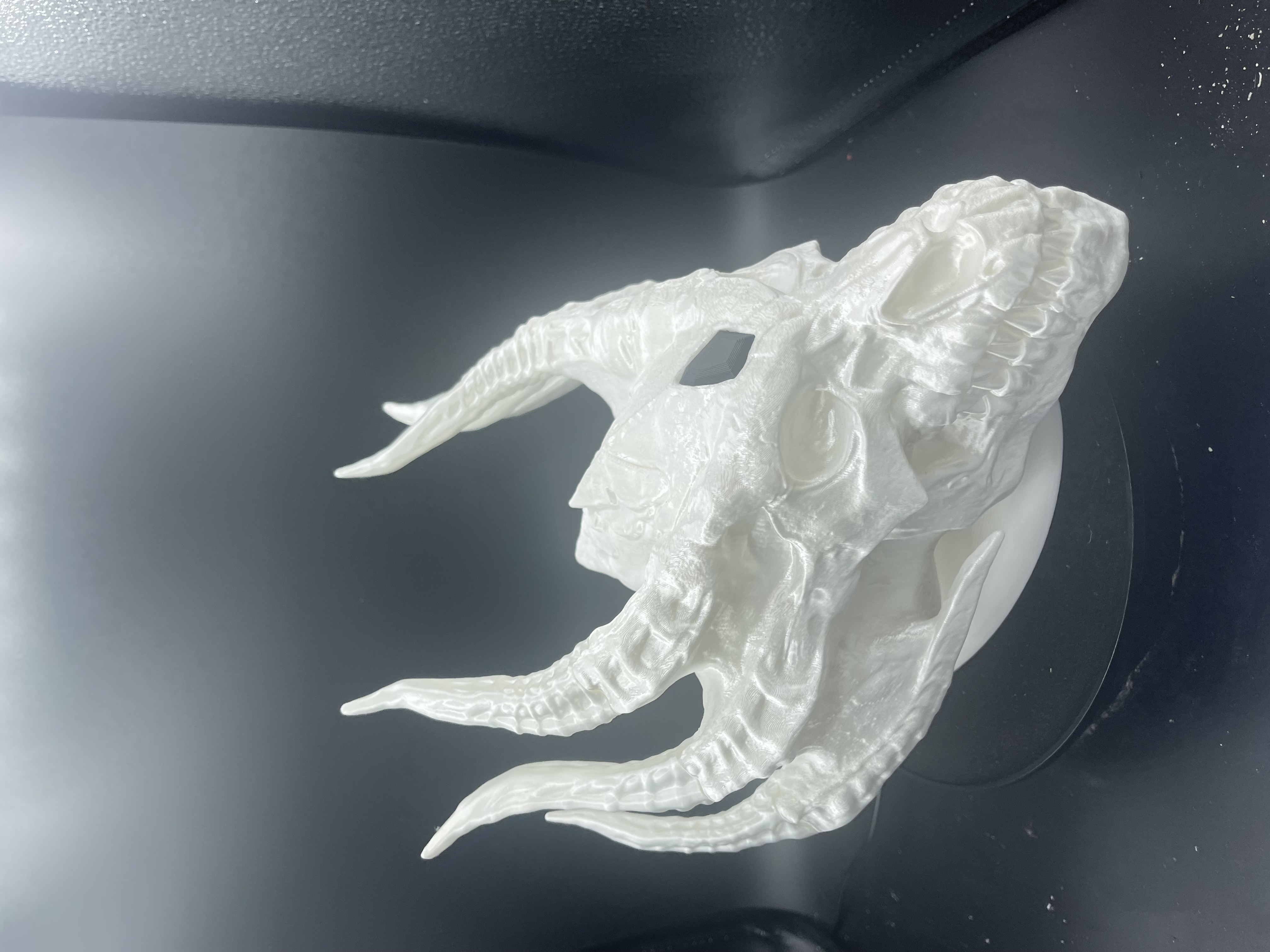 SILVER DRAGON SKULL!