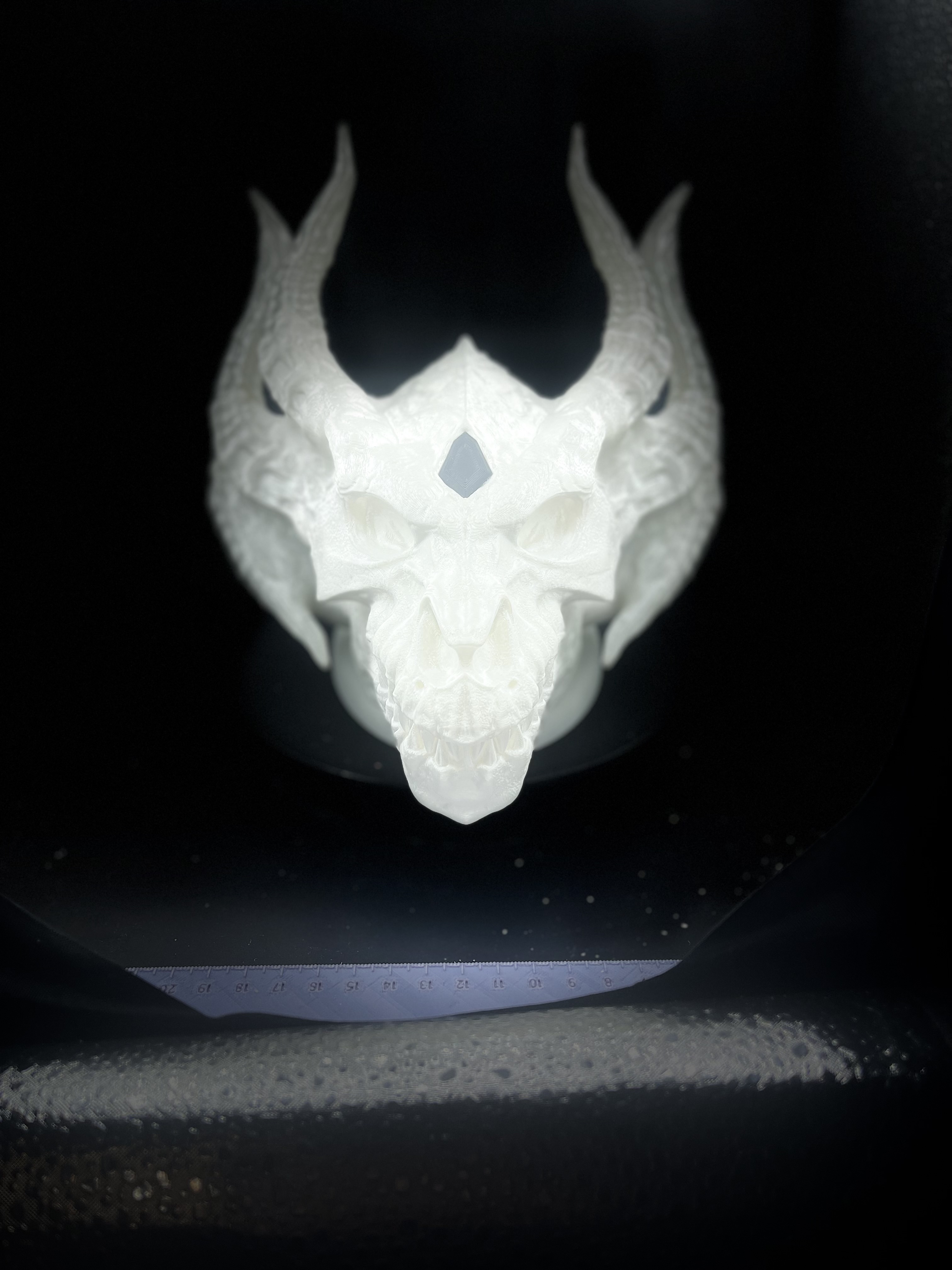 SILVER DRAGON SKULL!