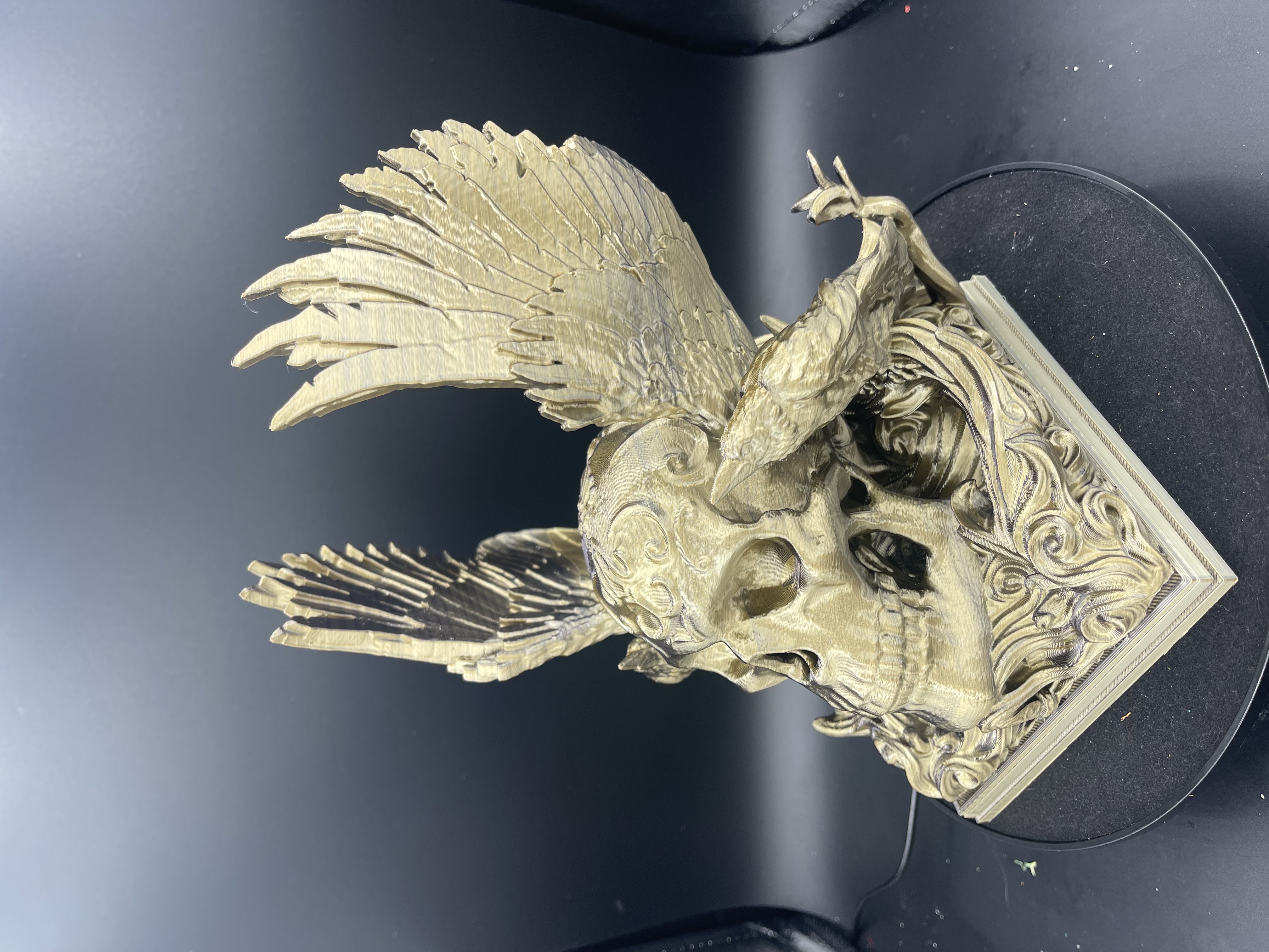 WINGS AND BONES SCULPTURE!