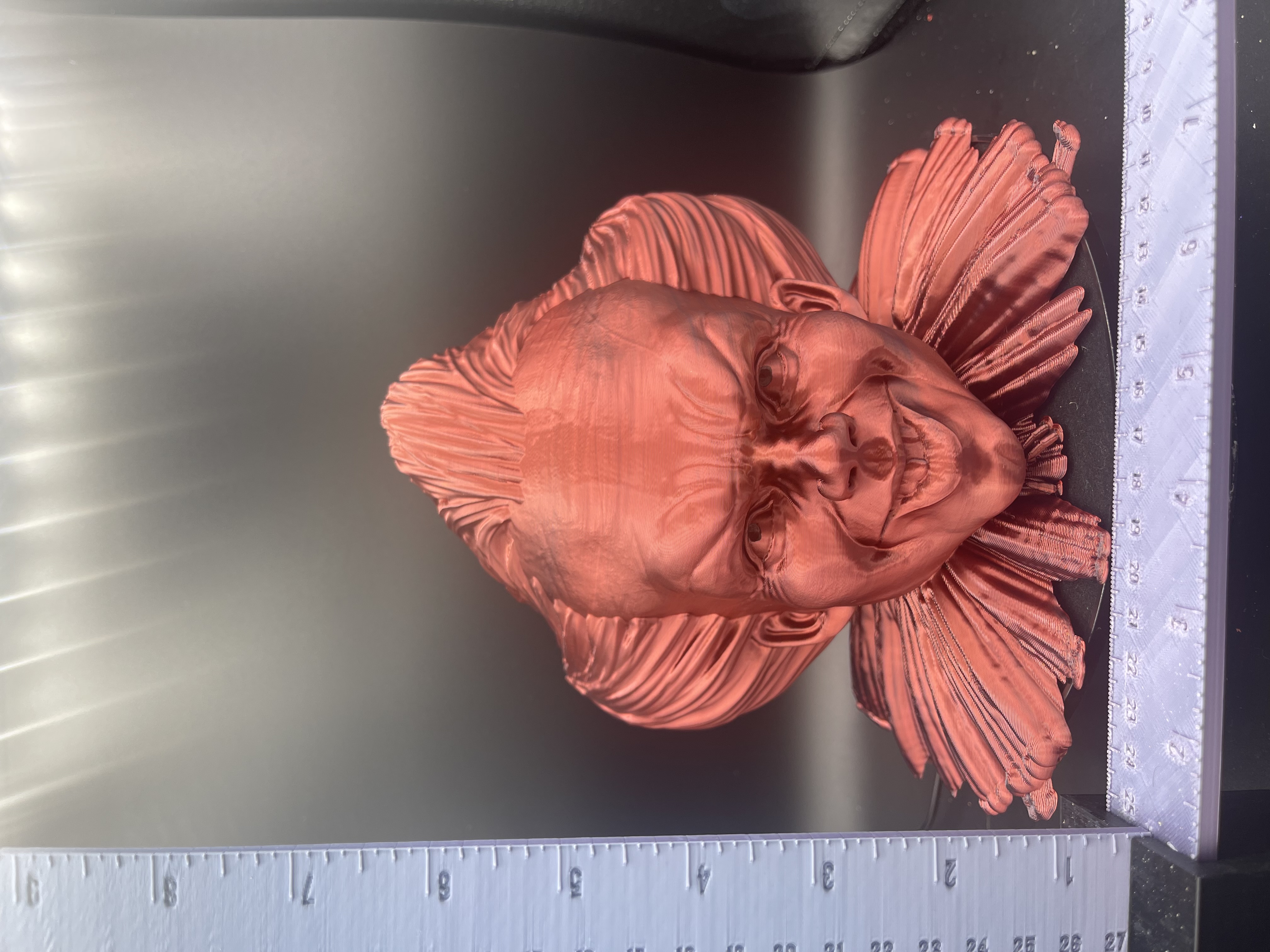 PENNYWISE BUST! (RED/BLACK)