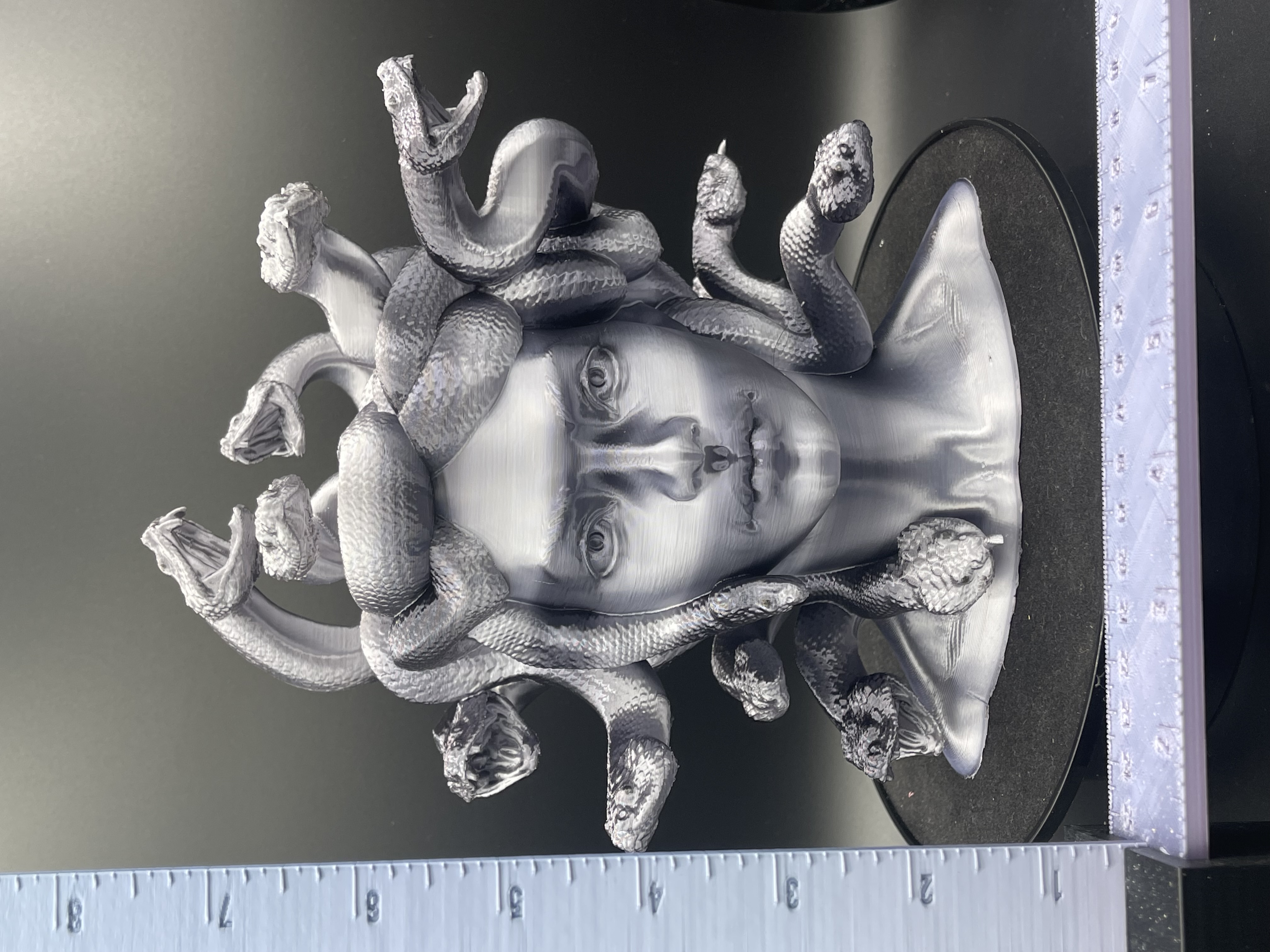 MEDUSA BUST! (BLACK/WHITE)