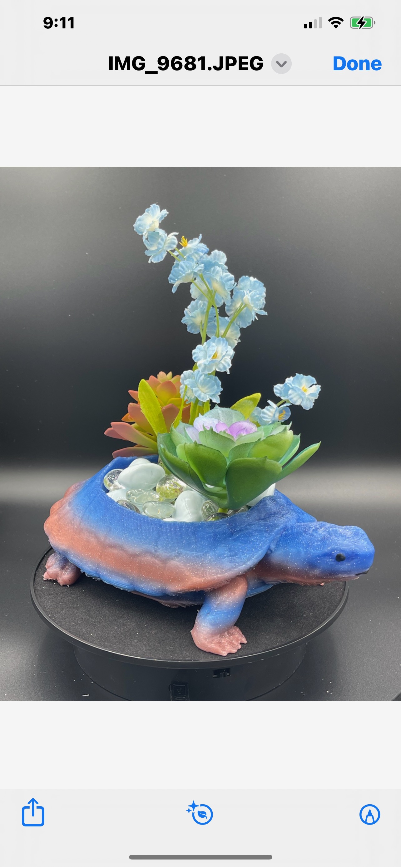 TURTLE SHAPED SUCCULENT PLANTER! MULTI-COLOR GLITTERED